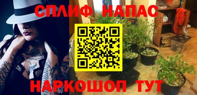 крисы Туймазы