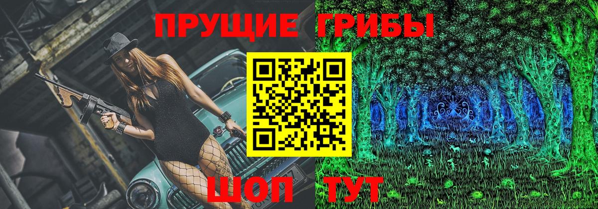 Буйнакск  Галлюциногенные грибы прущие грибы  Вход с VPN 